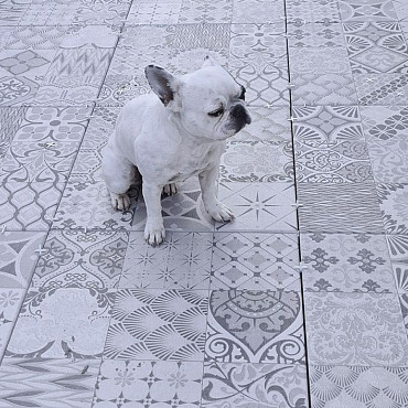 Marlux Mosaic 60x60x3 Victoria (uit assortiment 2026)