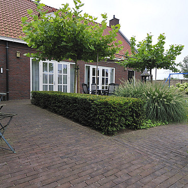 Dikformaat strak 7x20x8,5 bezand Brussel