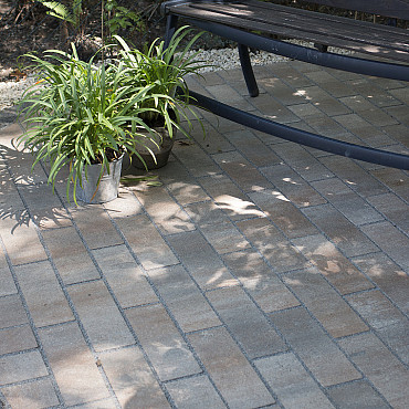 Smartton 10x30x6 Kilimanjaro