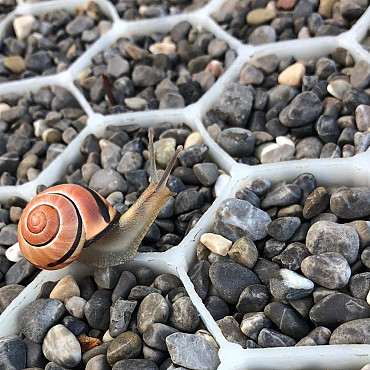 Gravel platen HDPE met onderdoek 160x120x3 zwart (afgehaald vanaf 1 volle pallet)