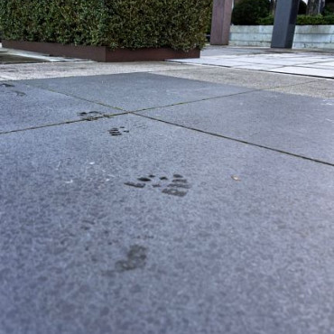 Orient Black 80x80x3 Corium