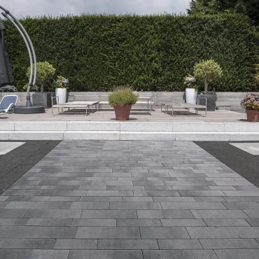 Premiton groot wildverband 6cm Gran Canaria