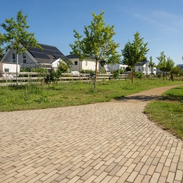 Waalformaat Nostalgisch 5x20x8 Onbezand Oostende
