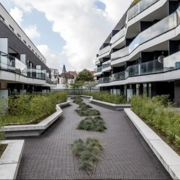 Dikformaat Strak 7x20x8,5 Onbezand Gent (Paasaanbieding)