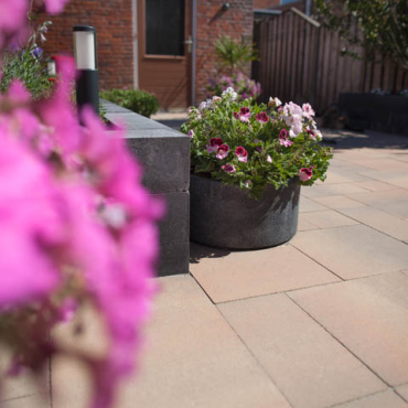 Promosteen+ 4,7 wildverband 2 Safi Partij (ca. 12,96 m²) (uitverkocht 15-5-23)