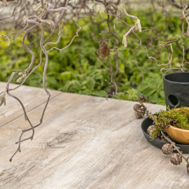 GeoCeramica 30x60x4 Timber Noce (uit assortiment 2025)