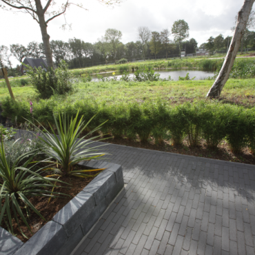 GeoAntica Waalformaat 5x20x6 Milano = uit assortiment 2022