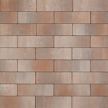 Smartton 10x30x6 Kilimanjaro