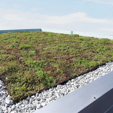Sedumtray TE 45x49,5x8,5 cm per m² (prijs op aanvraag)