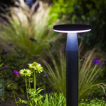 Disc Light Head + Disc Tube 60cm