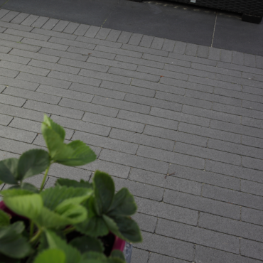GeoAntica Waalformaat 5x20x6 Milano = uit assortiment 2022