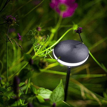 Mini Sway Light Head Black