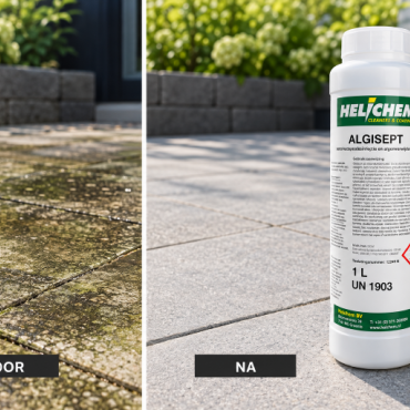 Algisept (Muscodel) groene aanslag verwijderaar