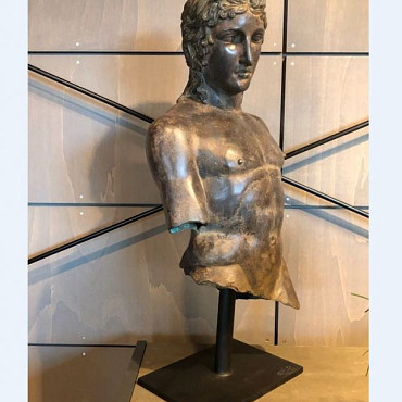 Beeld - Brons Buste David