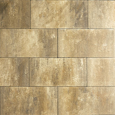 Smartton XL 30x60x8 Sierra Madre