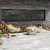 Marlux Forest 40x80x4 Nordic White (uit assortiment 2024)