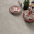 GeoCeramica 60x60x4 Motley Woodstock