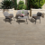 GeoCeramica 30x120x4 Varadero Wood