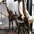 Beeld - Brons giraf klein ca. 100-130 cm