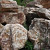 Meteora zwerfsteen Thailand 50-150cm gezandstraald op=op