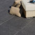 GeoCeramica 60x60x4 BB stone Black