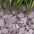 Canadian Slate paars/blauw 15-30m BB 500kg