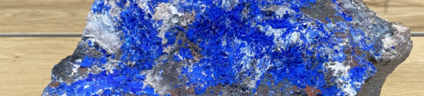 Bijzondere producten