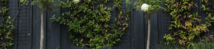 Kantopsluiting Metaal