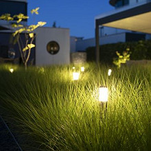 Liv Corten