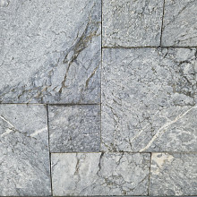 Antique Blue Light Romaans Wildverband