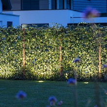 Luna 60 (zonder ring 68)