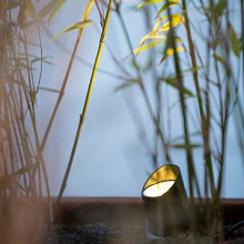 Shield 2 t.b.v. Scope