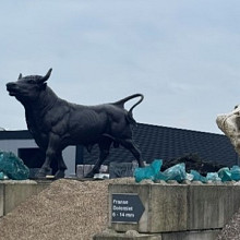 Beeld - Brons stier GROOT