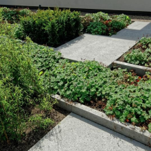 Beton Opsluitband Schellevis