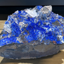 Bijzondere producten