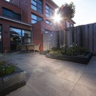 GeoColor 3.0 20x30x6 Maple Brown