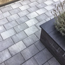 Premiton groot wildverband 6cm Lanzarote