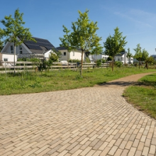 Waalformaat Nostalgisch 5x20x8 Onbezand Oostende