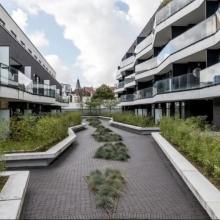 Dikformaat Strak 7x20x8,5 Onbezand Gent