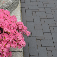 Gebakken Klinkerkei 10,5x20x5,2 Milano