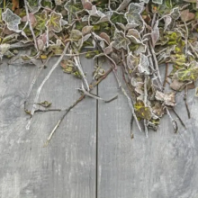 GeoCeramica 2Drive 30x60x6 Timber Grigio