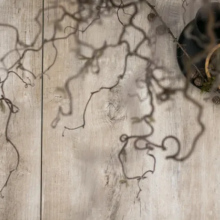 GeoCeramica 2Drive 30x60x6 Timber Tortera