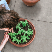 GeoCeramica 60x60x4 Nyuma Parker