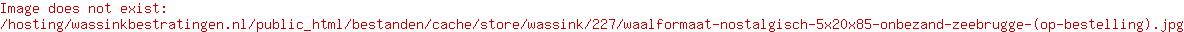 Waalformaat nostalgisch 5x20x8,5 onbezand Zeebrugge (op bestelling)