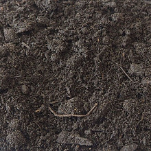 Recro-Compost (voeding) Groen keur per m³ ONVERPAKT