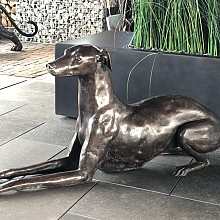 Beeld - Brons Hond hazewindhond liggend