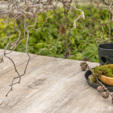 GeoCeramica 30x120x4 Timber Noce