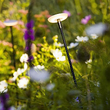 Mini Sway Pearl Grey + Sway Tube Extra Low 35cm