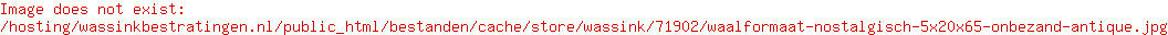 Waalformaat nostalgisch 5x20x6,5 onbezand Antique
