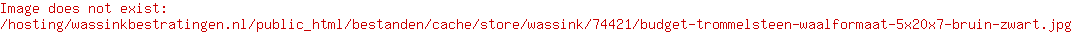 Budget trommelsteen Waalformaat 5x20x7 bruin-zwart